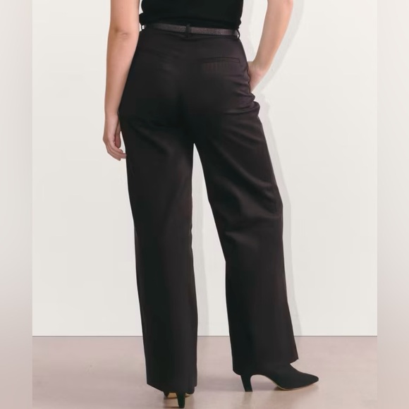 Everlane The Way-High Pleated Trousers - Picture 5 of 7